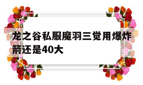 关于龙之谷私服魔羽三觉用爆炸箭还是40大的信息