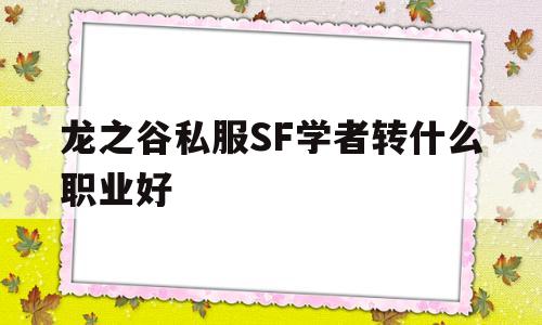 龙之谷私服SF学者转什么职业好