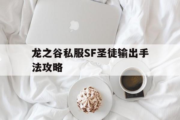 关于龙之谷私服SF圣徒输出手法攻略的信息