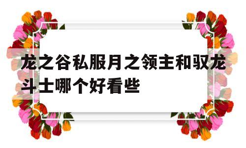 龙之谷私服月之领主和驭龙斗士哪个好看些的简单介绍