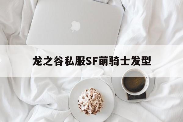 龙之谷私服SF萌骑士发型