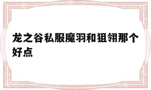 龙之谷私服魔羽和狙翎那个好点