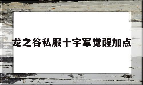 龙之谷私服十字军觉醒加点