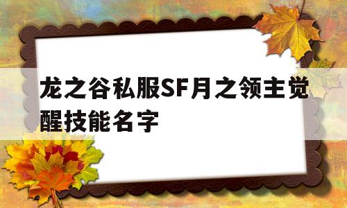 龙之谷私服SF月之领主觉醒技能名字的简单介绍