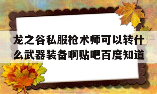 关于龙之谷私服枪术师可以转什么武器装备啊贴吧百度知道的信息