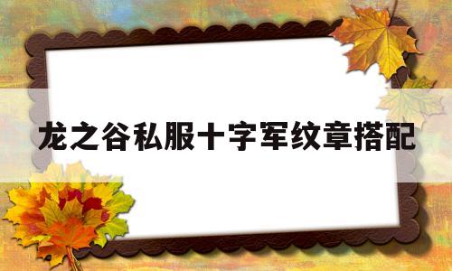 关于龙之谷私服十字军纹章搭配的信息