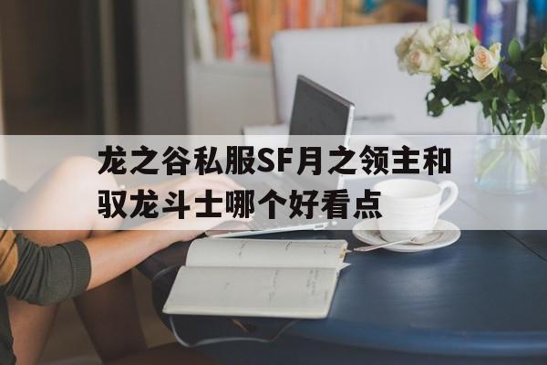 关于龙之谷私服SF月之领主和驭龙斗士哪个好看点的信息