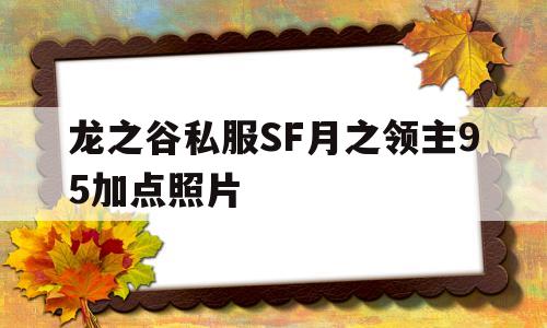 关于龙之谷私服SF月之领主95加点照片的信息