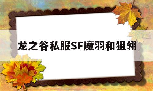 龙之谷私服SF魔羽和狙翎