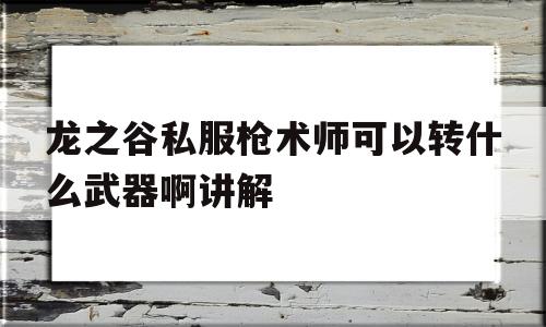 龙之谷私服枪术师可以转什么武器啊讲解