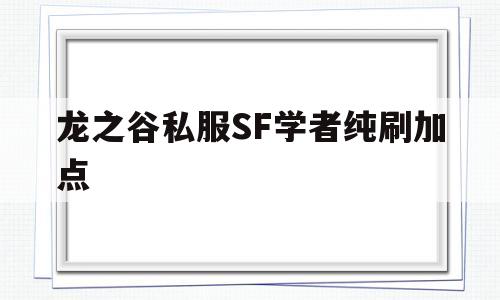 龙之谷私服SF学者纯刷加点的简单介绍