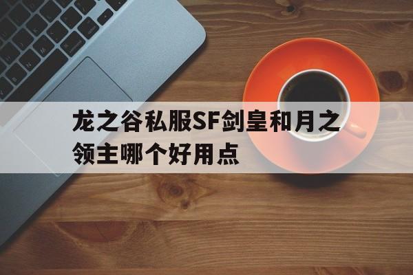 关于龙之谷私服SF剑皇和月之领主哪个好用点的信息