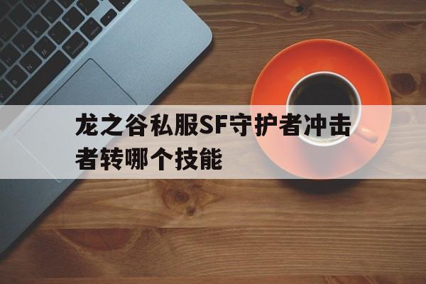 关于龙之谷私服SF守护者冲击者转哪个技能的信息