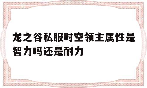 关于龙之谷私服时空领主属性是智力吗还是耐力的信息