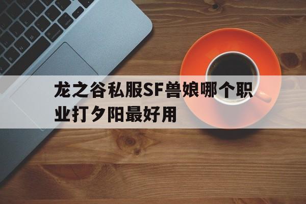 关于龙之谷私服SF兽娘哪个职业打夕阳最好用的信息