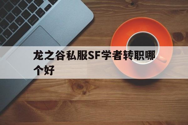 龙之谷私服SF学者转职哪个好