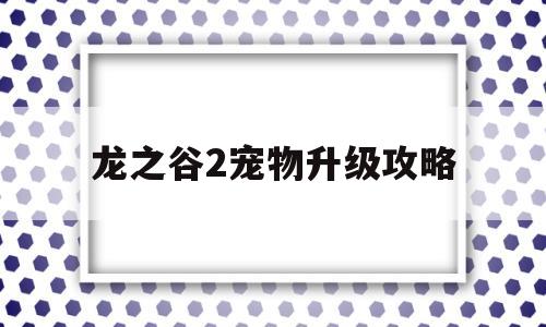 龙之谷2宠物升级攻略