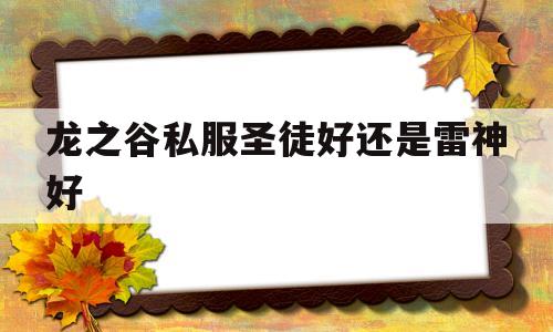 龙之谷私服圣徒好还是雷神好的简单介绍