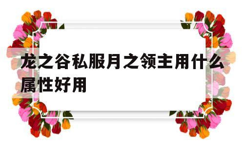 龙之谷私服月之领主用什么属性好用的简单介绍