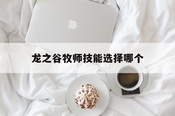 龙之谷牧师技能选择哪个