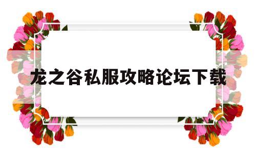 关于龙之谷私服攻略论坛下载的信息