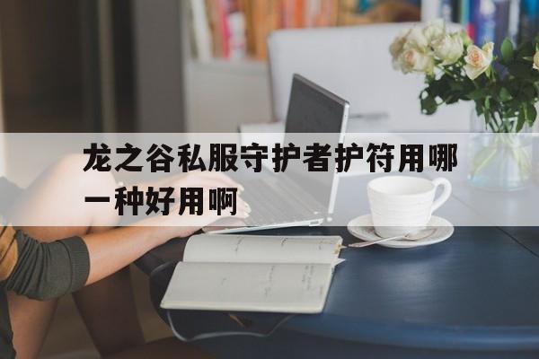 包含龙之谷私服守护者护符用哪一种好用啊的词条