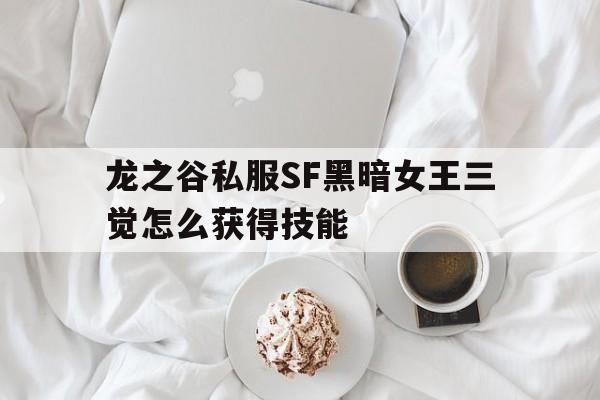 包含龙之谷私服SF黑暗女王三觉怎么获得技能的词条