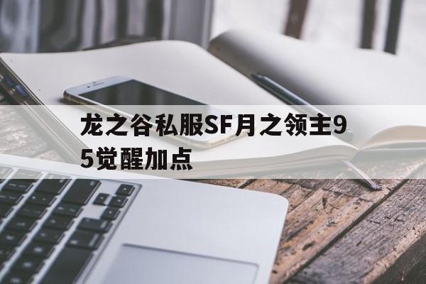 关于龙之谷私服SF月之领主95觉醒加点的信息