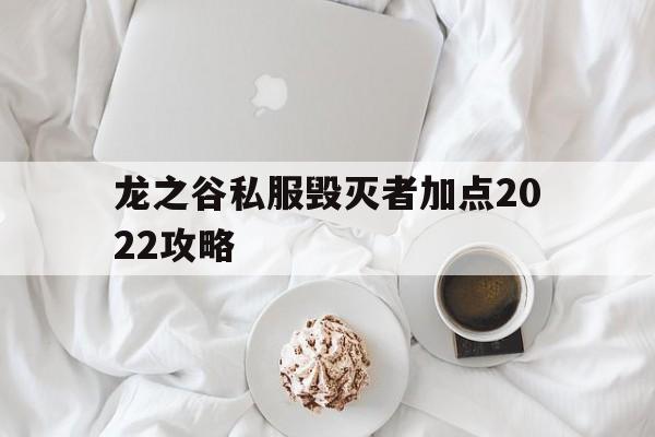 关于龙之谷私服毁灭者加点2022攻略的信息