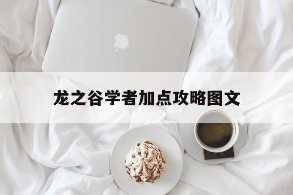 龙之谷学者加点攻略图文