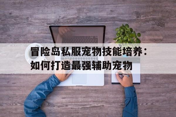 关于冒险岛私服宠物技能培养：如何打造最强辅助宠物的信息