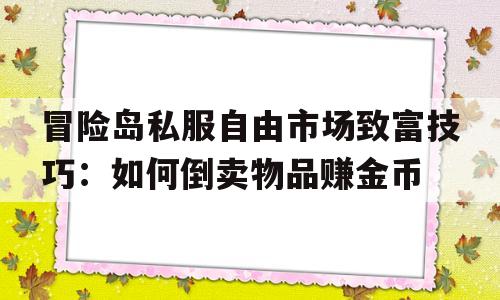 关于冒险岛私服自由市场致富技巧：如何倒卖物品赚金币的信息