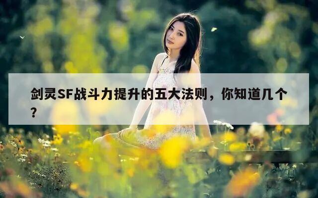 剑灵SF战斗力提升的五大法则，你知道几个？