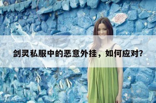 剑灵私服中的恶意外挂，如何应对？