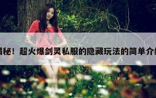 揭秘！超火爆剑灵私服的隐藏玩法的简单介绍
