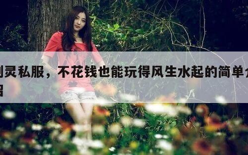 剑灵私服，不花钱也能玩得风生水起的简单介绍