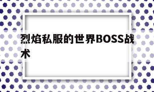 关于烈焰私服的世界BOSS战术的信息