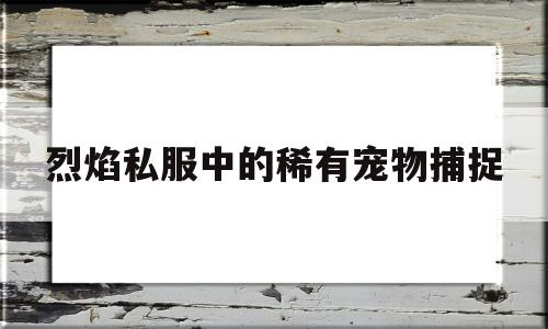 包含烈焰私服中的稀有宠物捕捉的词条