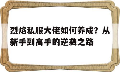 烈焰私服大佬如何养成？从新手到高手的逆袭之路的简单介绍